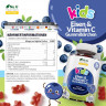 Nu U Nutrition Kids Iron + Vitamin C Детские витамины с железом и витамином C, для энергии и иммунитета, вкус черники, с 5 лет, 120 шт