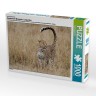 CALVENDO Puzzle CALVENDO Puzzle Emotionale Momente: Leoparden Пазл CALVENDO Puzzle Эмоциональные моменты: леопарды