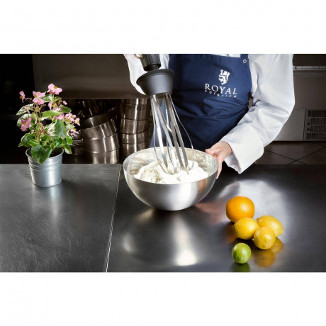 Royal Catering Royal Catering Stabmixer Stabmixer Gastro 500 W Edelstahl Mixer Schneebesen Mixstab 16.000 U, 500 W Ручной блендер Royal Catering Gastro 500 Вт Миксер из нержавеющей стали Венчик-венчик 16 000 U, 500 Вт