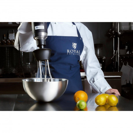 Royal Catering Royal Catering Stabmixer Stabmixer Gastro 500 W Edelstahl Mixer Schneebesen Mixstab 16.000 U, 500 W Ручной блендер Royal Catering Gastro 500 Вт Миксер из нержавеющей стали Венчик-венчик 16 000 U, 500 Вт