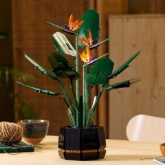 LEGO Creator Expert Paradiesvogelblume Создатель Эксперт Цветок райской птицы