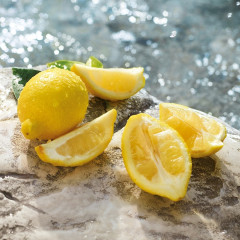 Dolce&amp;Gabbana  Light Blue Pour Homme Summer Vibes  Light Blue Pour Homme Summer Vibes