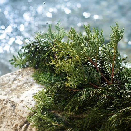 Dolce&Gabbana Light Blue Pour Homme Summer Vibes Light Blue Pour Homme Summer Vibes