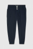 Tommy Hilfiger Tracksuit bottoms desert sky Нижняя часть спортивного костюма небо пустыни