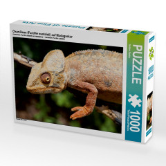 CALVENDO Puzzle CALVENDO Puzzle Chamaleon (Furcifer oustaleti) auf Madagaskar Пазл CALVENDO Puzzle Chameleon (Furcifer oustaleti) на Мадагаскаре