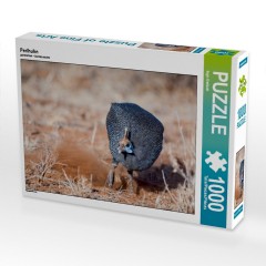 CALVENDO Puzzle CALVENDO Puzzle Perlhuhn Пазл CALVENDO Пазл цесарка