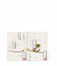 Dr. Hauschka Adventskalender 2026, Адвент-календарь 2026 Dr. Hauschka с 24 средствами