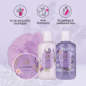 Accentra Shower Set Women Gift Set Lavender in Beautiful Gift Box Подарочный набор "Лаванда" из 4 предметов с гелем для душа, лосьоном для тела, маслом для тела и сетчатой губкой
