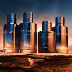 DIOR – Zitrische und holzige Noten – Nachfullbarer Flakon  - Цитрусовые и древесные ноты Многоразовая бутылка