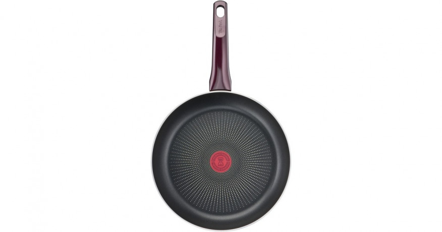 Tefal Tefal Pfanne Resist Intense, O 20cm    Сковорода Tefal Resist Intense, O 20см