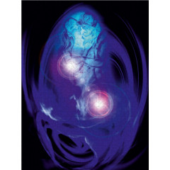 CALVENDO Puzzle CALVENDO Puzzle Bluhende Fantasie Пазл CALVENDO Puzzle Расцветающее воображение