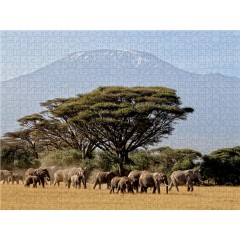 CALVENDO Puzzle CALVENDO Puzzle Majestatische Tiere vor dem Berg der Berge: Elefanten vor dem Kilimandjaro ! Kenia Пазл CALVENDO Puzzle Величественные животные перед горой гор: Слоны перед Килиманджаро! Кения