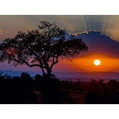 CALVENDO Puzzle CALVENDO Puzzle Sonnenuntergang in der Masai Mara in Kenia Пазл CALVENDO Puzzle Закат в Масаи Мара в Кении