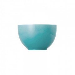 Thomas Thomas Sunny Day Turquoise Musli-Schale 12 cm Тарелка для хлопьев Thomas Sunny Day, бирюзовая, 12 см