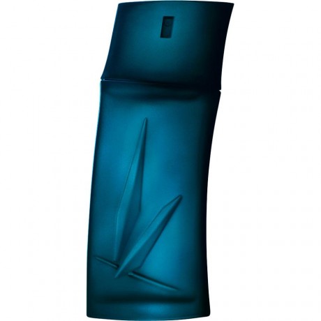 KENZO (Кензо) KENZO (Кензо) HOMME Eau de Toilette Туалетная вода Spray Спрей, 30 мл