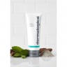 Dermalogica Sebum Clearing Masque  Маска для очистки кожного сала
