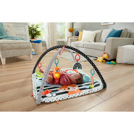 Mattel Fisher-Price Tierfreunde Kontrast-Spieldecke Контрастный игровой коврик Fisher-Price Animal Lovers