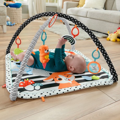 Mattel Fisher-Price Tierfreunde Kontrast-Spieldecke Контрастный игровой коврик Fisher-Price Animal Lovers