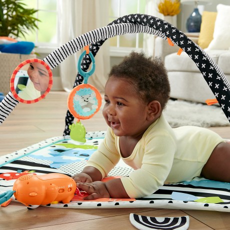 Mattel Fisher-Price Tierfreunde Kontrast-Spieldecke Контрастный игровой коврик Fisher-Price Animal Lovers