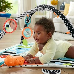 Mattel Fisher-Price Tierfreunde Kontrast-Spieldecke Контрастный игровой коврик Fisher-Price Animal Lovers
