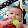Mattel Fisher-Price Tierfreunde Kontrast-Spieldecke Контрастный игровой коврик Fisher-Price Animal Lovers