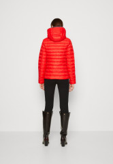 Tommy Hilfiger DOWN JACKET Down jacket fireworks ПУХОВИК Пуховик салют