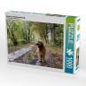 CALVENDO Puzzle CALVENDO Puzzle Briard auf Herbstwanderung Пазл CALVENDO Puzzle Briard в осеннем походе