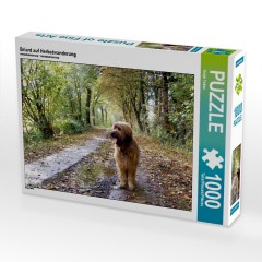 CALVENDO Puzzle CALVENDO Puzzle Briard auf Herbstwanderung Пазл CALVENDO Puzzle Briard в осеннем походе