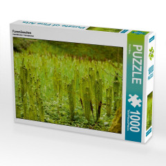 CALVENDO Puzzle CALVENDO Puzzle Farnmannchen Пазл CALVENDO Пазл маленький папоротник