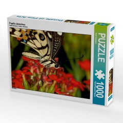 CALVENDO Puzzle CALVENDO Puzzle Papilio demoleus Пазл CALVENDO Пазл Papilio demoleus