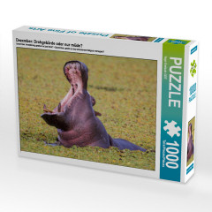 CALVENDO Puzzle CALVENDO Puzzle Dezember: Drohgebarde oder nur mude? Пазл CALVENDO Puzzle Декабрь: угрожающий жест или просто устал?