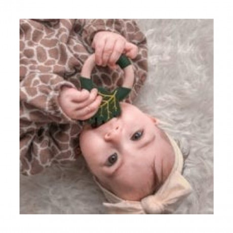 nibbling Beissringe Super Food Kohl Прорезыватели Супер Фуд Капуста