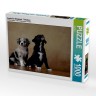 CALVENDO Puzzle CALVENDO Puzzle Australian Shepherd Пазл CALVENDO Пазл Австралийская овчарка