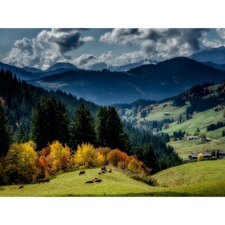 CALVENDO Puzzle CALVENDO Puzzle Herbst in Haute-Savoie Пазл CALVENDO Puzzle Осень в Верхней Савойе
