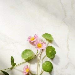 Rituals Ageless Firming Serum  Нестареющая укрепляющая сыворотка