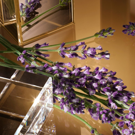 Dolce&Gabbana The One For Men Для мужчин