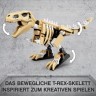 LEGO LEGO Jurassic World 76940 T. Rex-Skelett in der Fossilienausstellung LEGO Jurassic World 76940 Скелет тираннозавра на выставке окаменелостей
