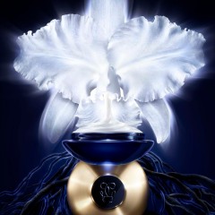 Guerlain The Cream  Крем