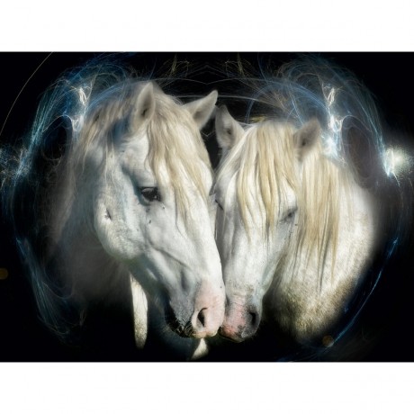 CALVENDO Puzzle CALVENDO Puzzle Die Camargue Paare Пазл CALVENDO Puzzle Парочки Камарга