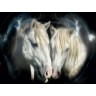 CALVENDO Puzzle CALVENDO Puzzle Die Camargue Paare Пазл CALVENDO Puzzle Парочки Камарга