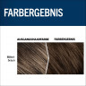 Schwarzkopf MEN Perfect 60, 10st, Средне-коричневый, мужская краска от седины 5 минут, Набор 10 упаковок 