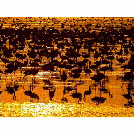 CALVENDO Puzzle CALVENDO Puzzle Flamingos Пазл CALVENDO Пазл фламинго