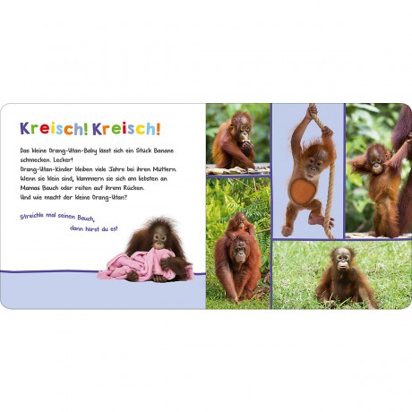 arsEdition Verlag Hor mal rein Послушай это