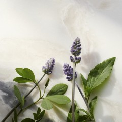 Rituals Glow Anti-Ageing Serum Refill  Сменный блок антивозрастной сыворотки Glow