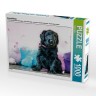 CALVENDO Puzzle CALVENDO Puzzle Briard-Welpe Пазл CALVENDO Puzzle Щенок бриара