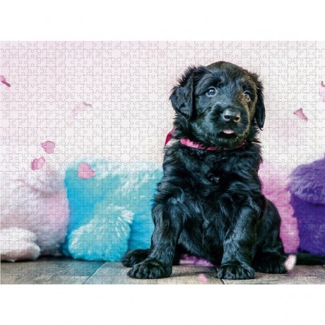 CALVENDO Puzzle CALVENDO Puzzle Briard-Welpe Пазл CALVENDO Puzzle Щенок бриара