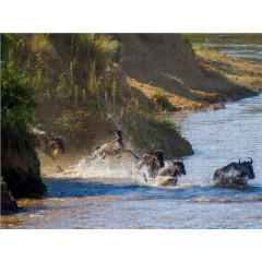 CALVENDO Puzzle CALVENDO Puzzle Das Wunder der grossen Gnuwanderung findet seinen Hohepunkt in der Flussdurchquerung. Головоломка CALVENDO Puzzle Чудо великой миграции антилоп гну завершается переправой через реку.