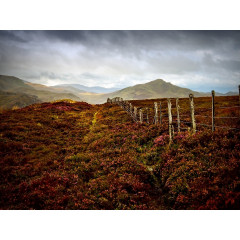 CALVENDO Puzzle CALVENDO Puzzle Herbst-Landschaft in der Nahe von Suidhe Sicht Пазл CALVENDO Puzzle Осенний пейзаж у смотровой площадки Suidhe