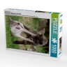 CALVENDO Puzzle CALVENDO Puzzle Emotionale Momente: Der Wolf. Пазл CALVENDO Пазл Эмоциональные моменты: Волк.