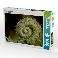 CALVENDO Puzzle CALVENDO Puzzle Spirale des Lebens Пазл CALVENDO Пазл спираль жизни